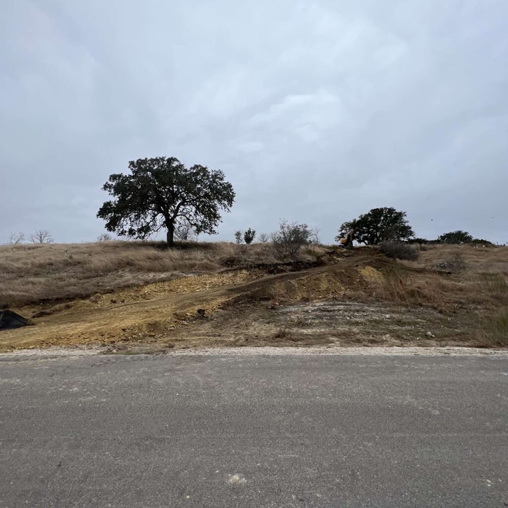 A tree stands on a hill after land clearing.